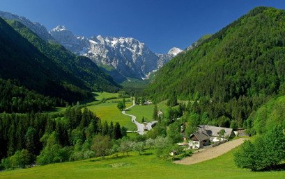 Slovenija se okreće organskoj proizvodnji