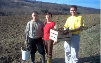 Organska proizvodnja kajsije i oraha na padinama Fruške gore